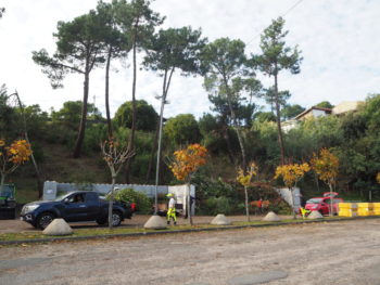 Déchèterie temporaire pour végétaux déchets verts de La Vigne / Lège-Cap Ferret