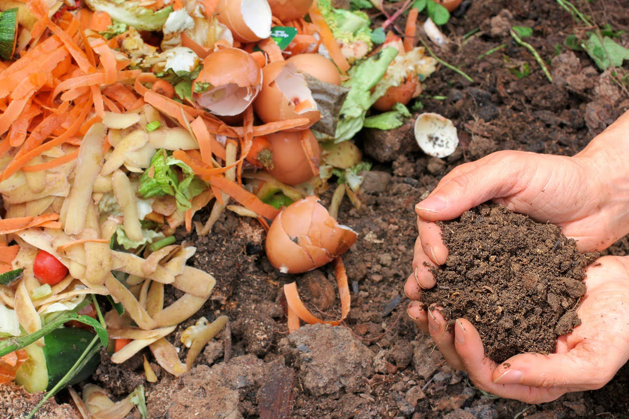 Biodéchets et compost