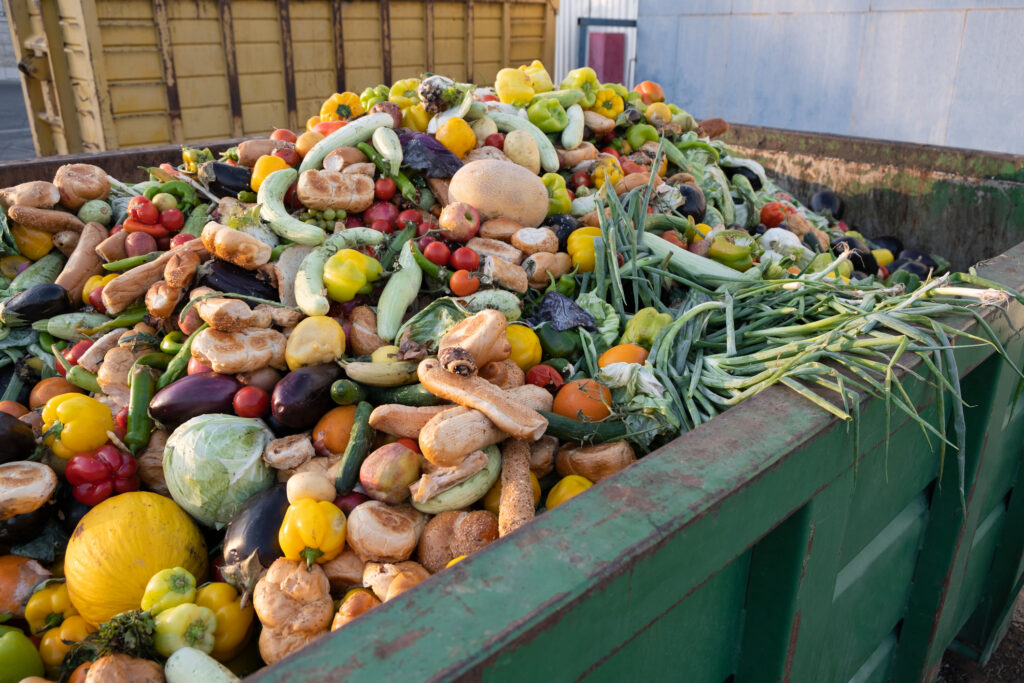 Rebuts de l'industrie agro-alimentaire, restes alimentaires, déchets alimentaires