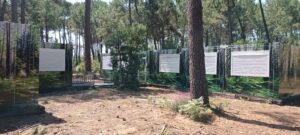 Logements pour les Saisonniers à Arès - Eté 2025 - Extérieur