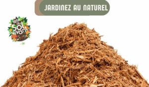 Broyat - visuel