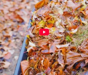 Jardinez au naturel - COBAN Feuilles mortes - Miniature vidéo