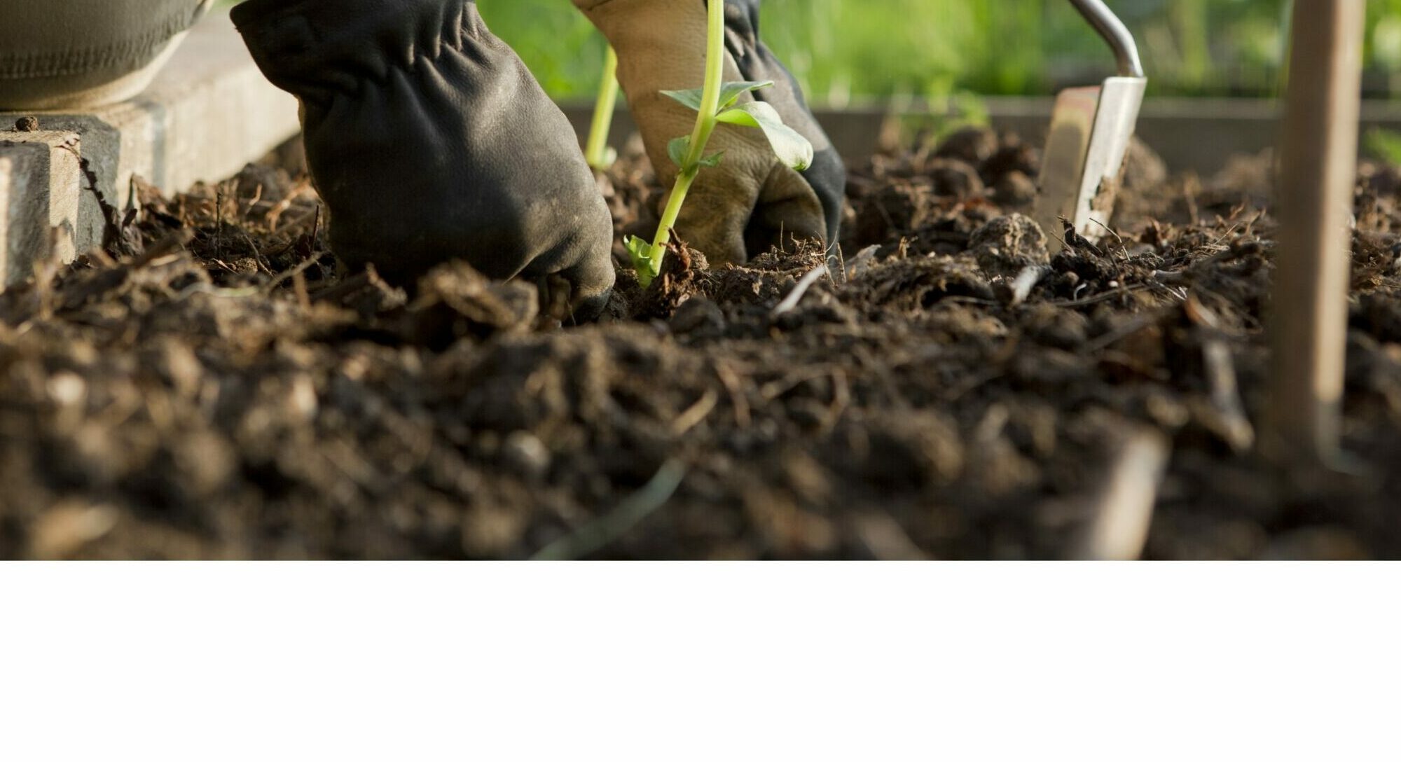 Jardiner au naturel - Visuel haut de page