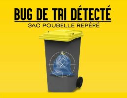 Bug de tri détecté – Vignette - 20 février 2026