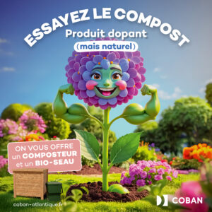 Vignette Hortensia Fleur - Distribution Composteurs phase2 Avril 2026 - Essayez le compost Produit dopant (mais naturel) - On vous offre un composteur et un bio-seau