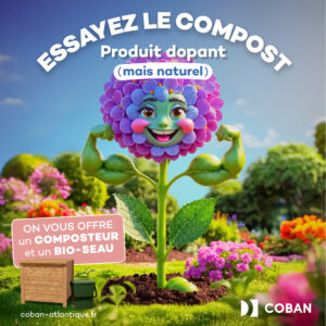 Vignette Hortensia Fleur - Distribution Composteurs phase2 Avril 2026 - Essayez le compost Produit dopant (mais naturel) - On vous offre un composteur et un bio-seau