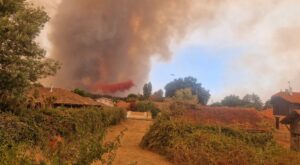 L'incendie de l'été : un territoire mis à l'épreuve - COBAN