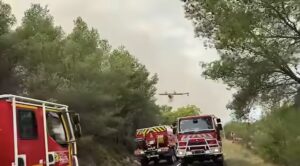 L'incendie de l'été : un territoire mis à l'épreuve - COBAN