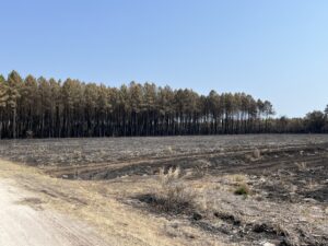 L'incendie de l'été : un territoire mis à l'épreuve - COBAN